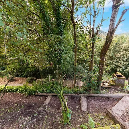 Forest Retreat In Bouillon, Cleaning Included * Bouillon